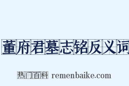 董府君墓志铭反义词是什么意思的图片